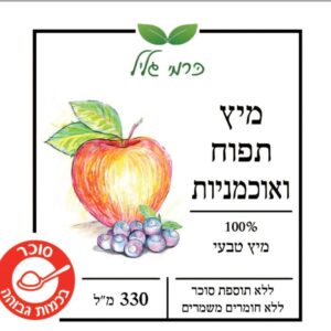 מיץ תפוח עץ אוכמניות ג׳ינג׳ר ולימון